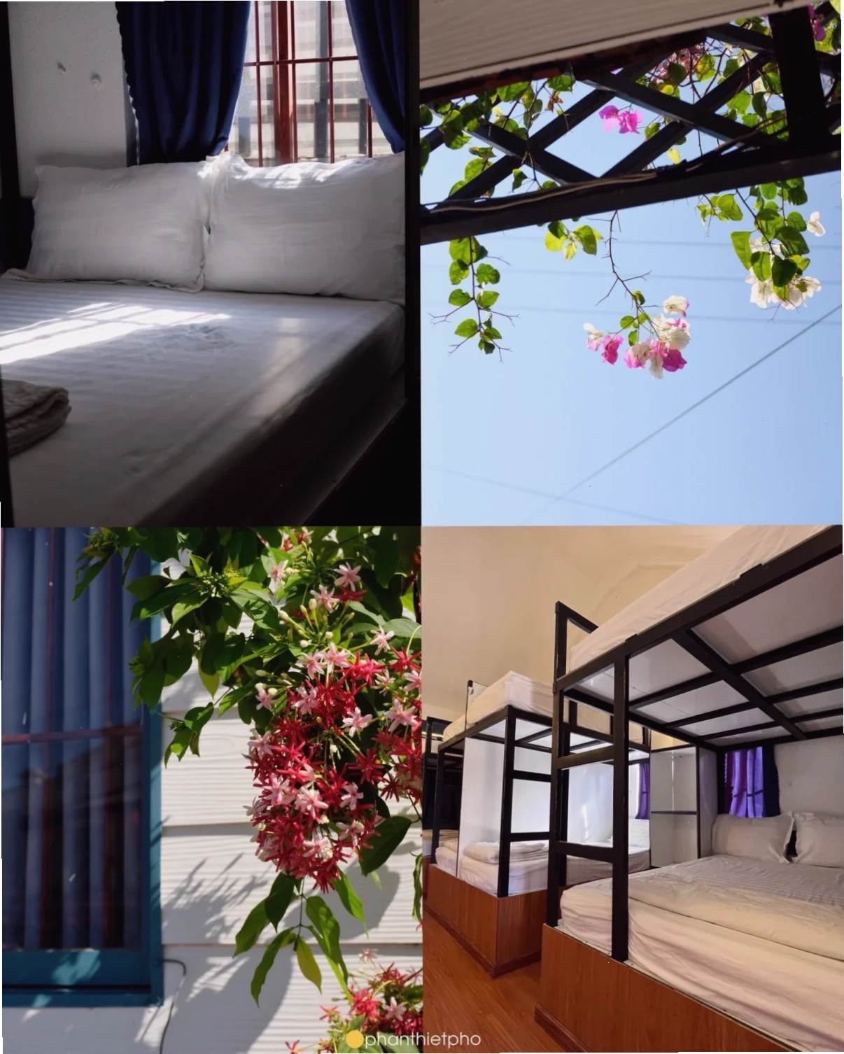 Không gian sân vườn homestay Mũi Né giá rẻ